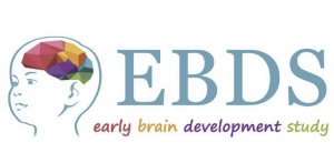 Early Brain Development Study logo. Outline of a child's head with a colorful brain. EBDS acronym with 'early brain development study' written underneath