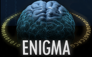 Enigma Logo. Brain with the word "enigma" written across the bottom